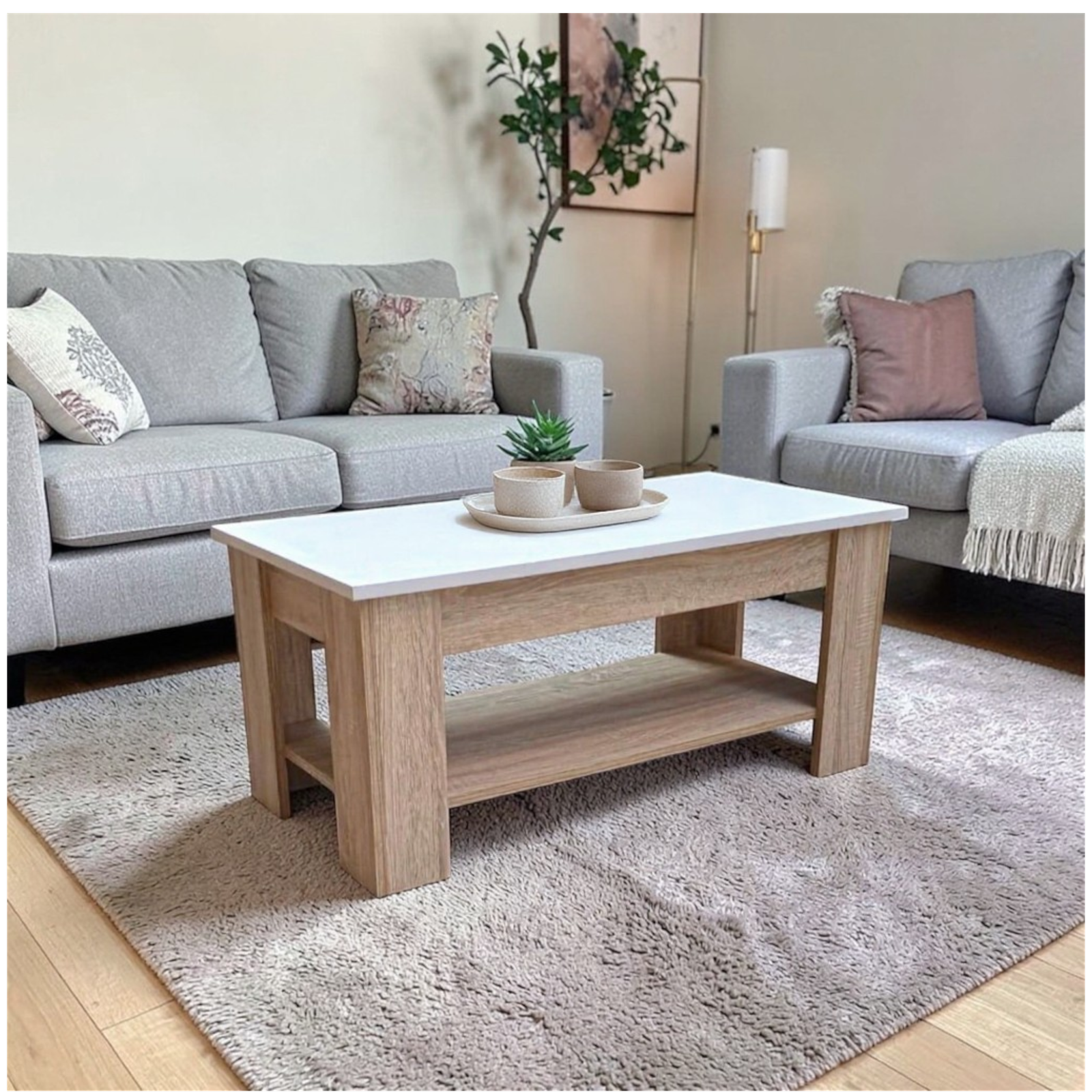 Modern coffee table MON499