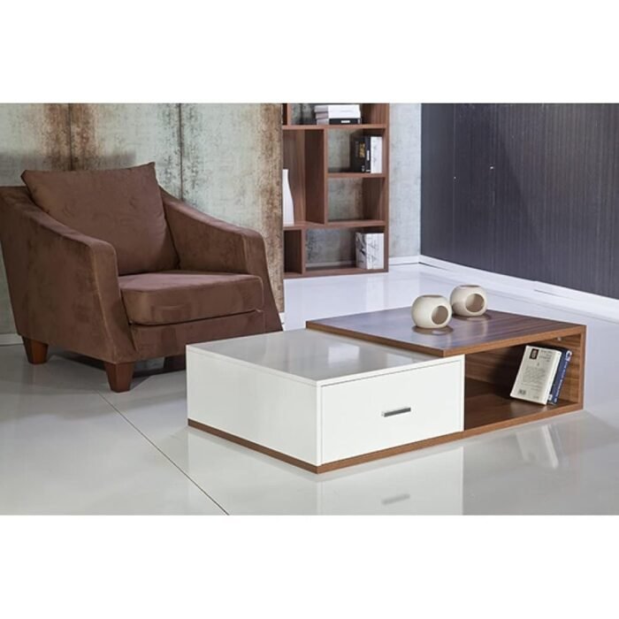 Modern coffee table MON497