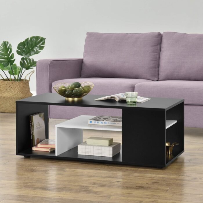 Modern coffee table MON498
