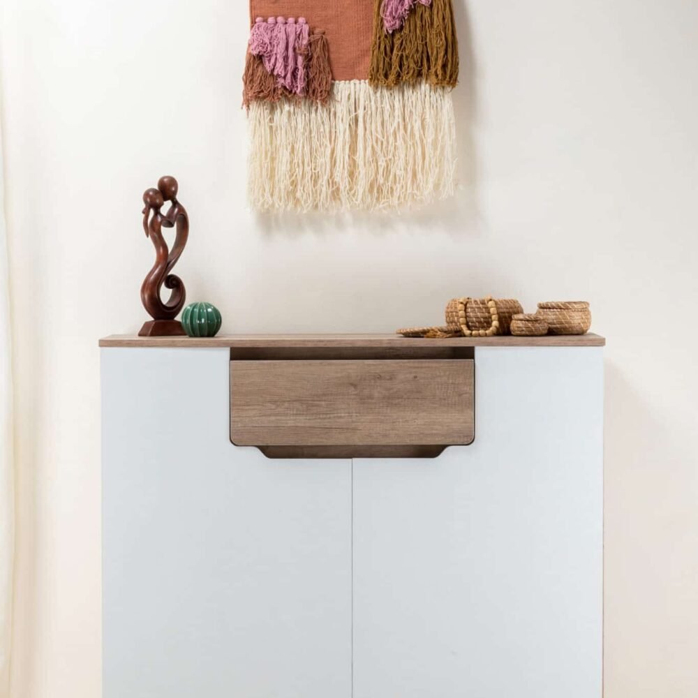 Modern shoe Storage MON105