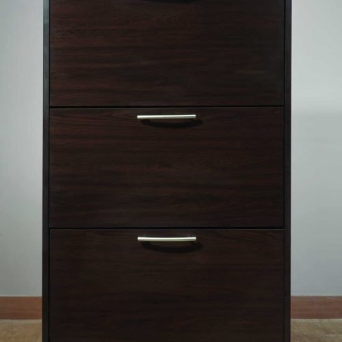 Modern shoe Storage MON107