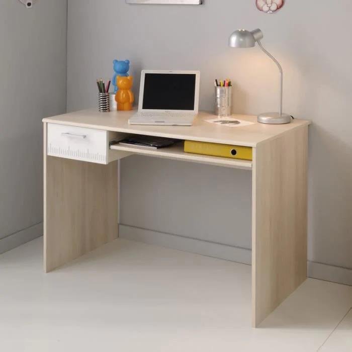Modern Desk Neev015