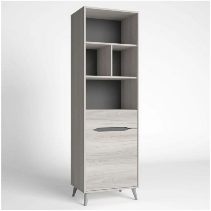 Modern Bookcase M0879
