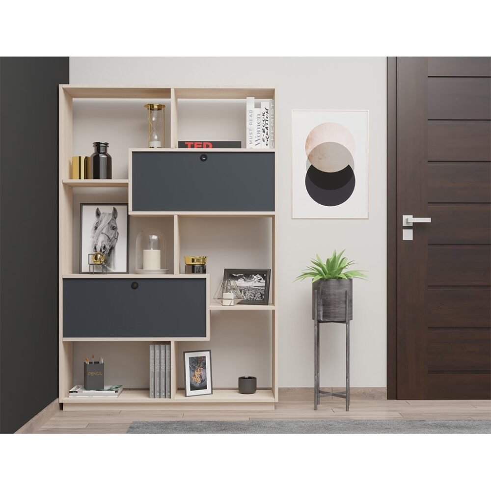 Modern Bookcase M0875