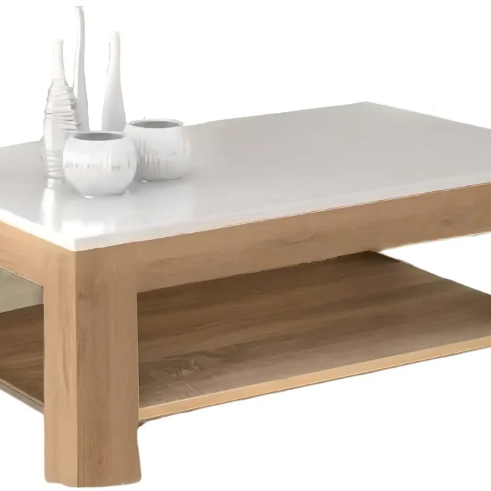 Modern coffee table MON499
